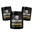 TRIPACK CREATINA 300g. TOTAL 900g. COMPRALO CON AMIGOS